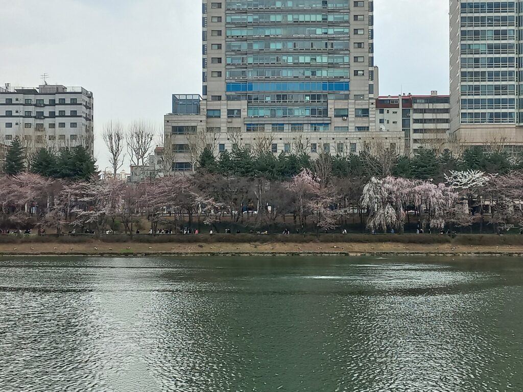 Trees and buildings across the water.
