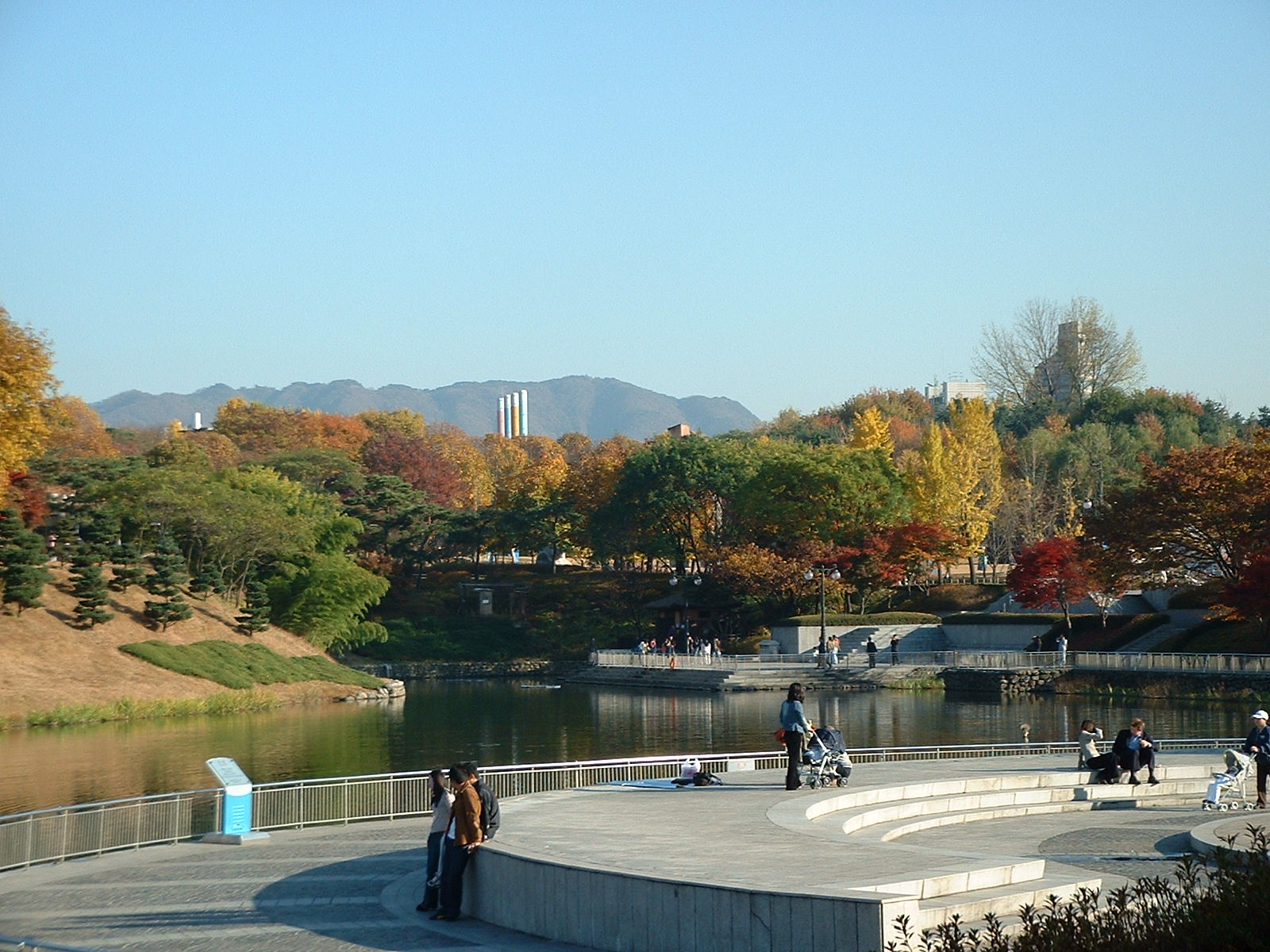 Water and planting within the park landscape.