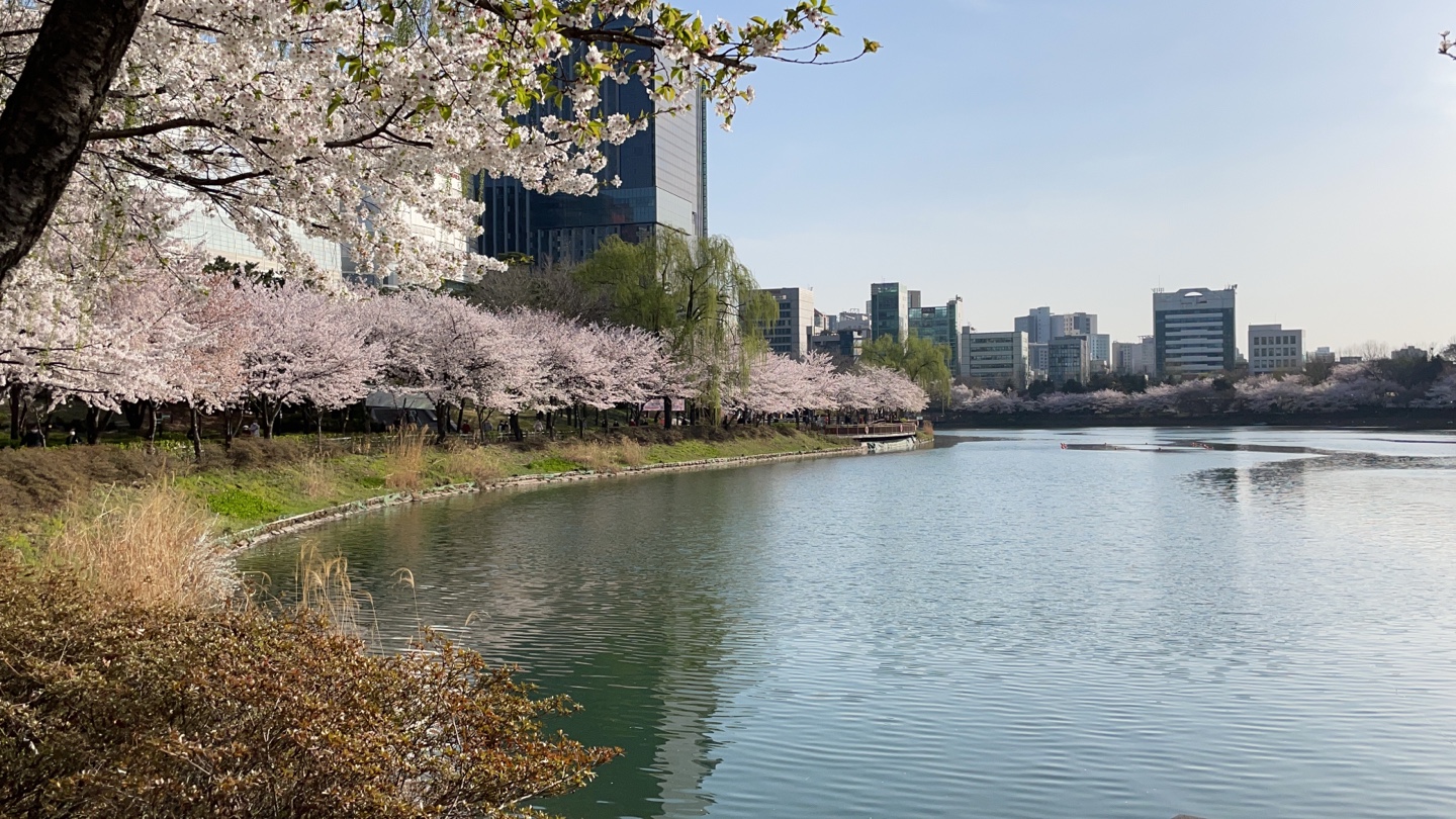 A springtime view along the lakeside.