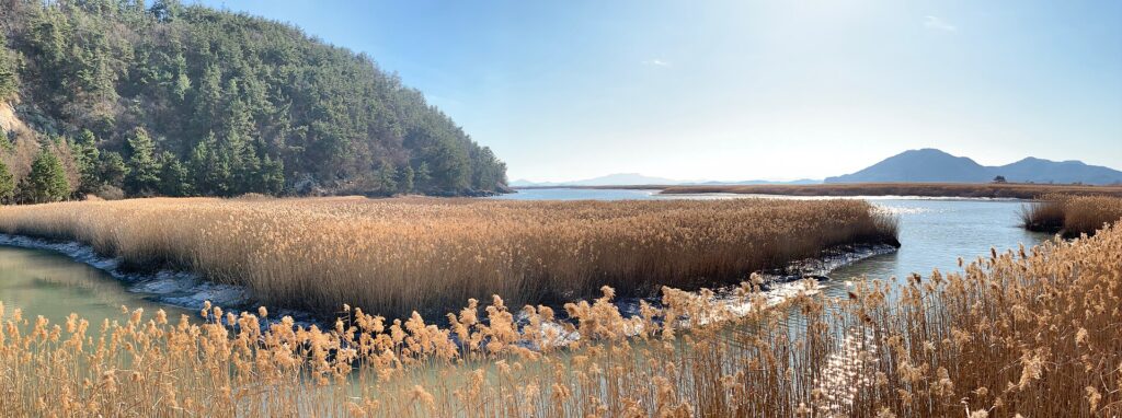 20181231 Suncheon Bay 001.jpg