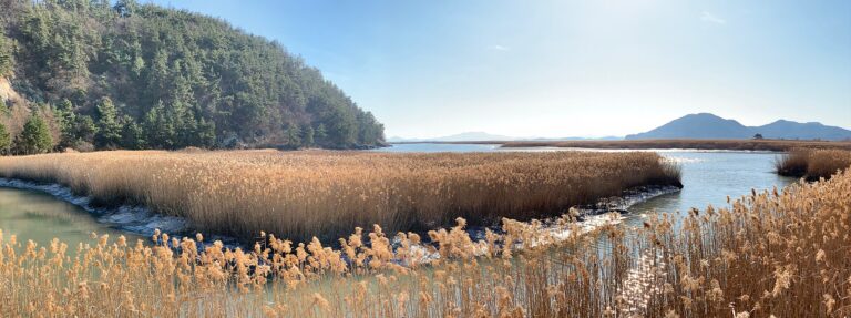 20181231 Suncheon Bay 001.jpg