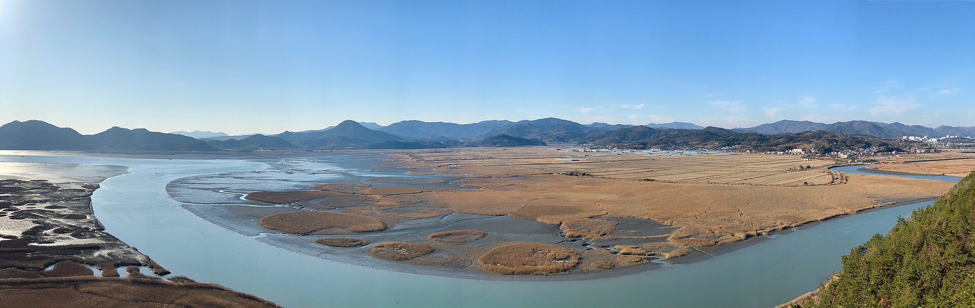Suncheon Bay channels and reed islands seen from higher ground