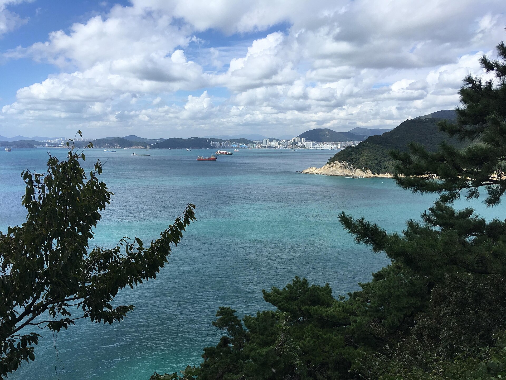 Ships and the coast seen through trees at Taejongdae