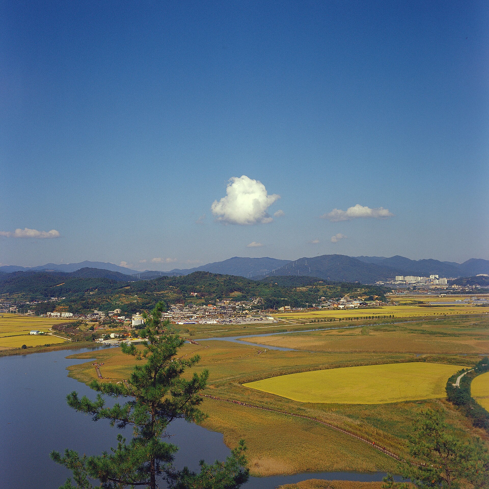 River, fields and wetland landscape around Suncheon Bay
